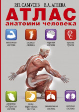 Атлас анатомии человека. Самусев Р.П. Агеева В.А.