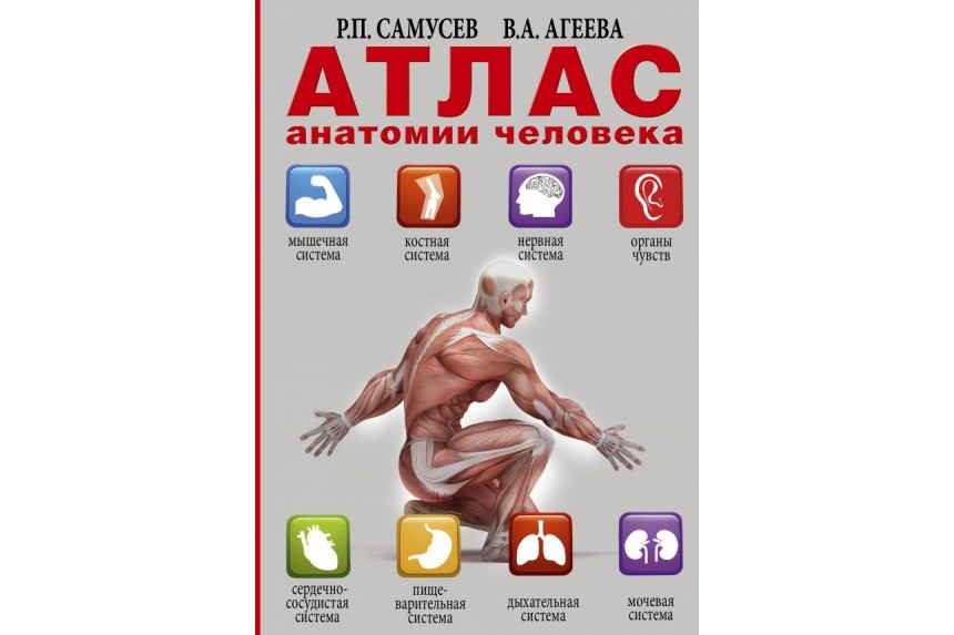 Книга. Атлас анатомии человека. Самусев Р.П. Агеева В.А.