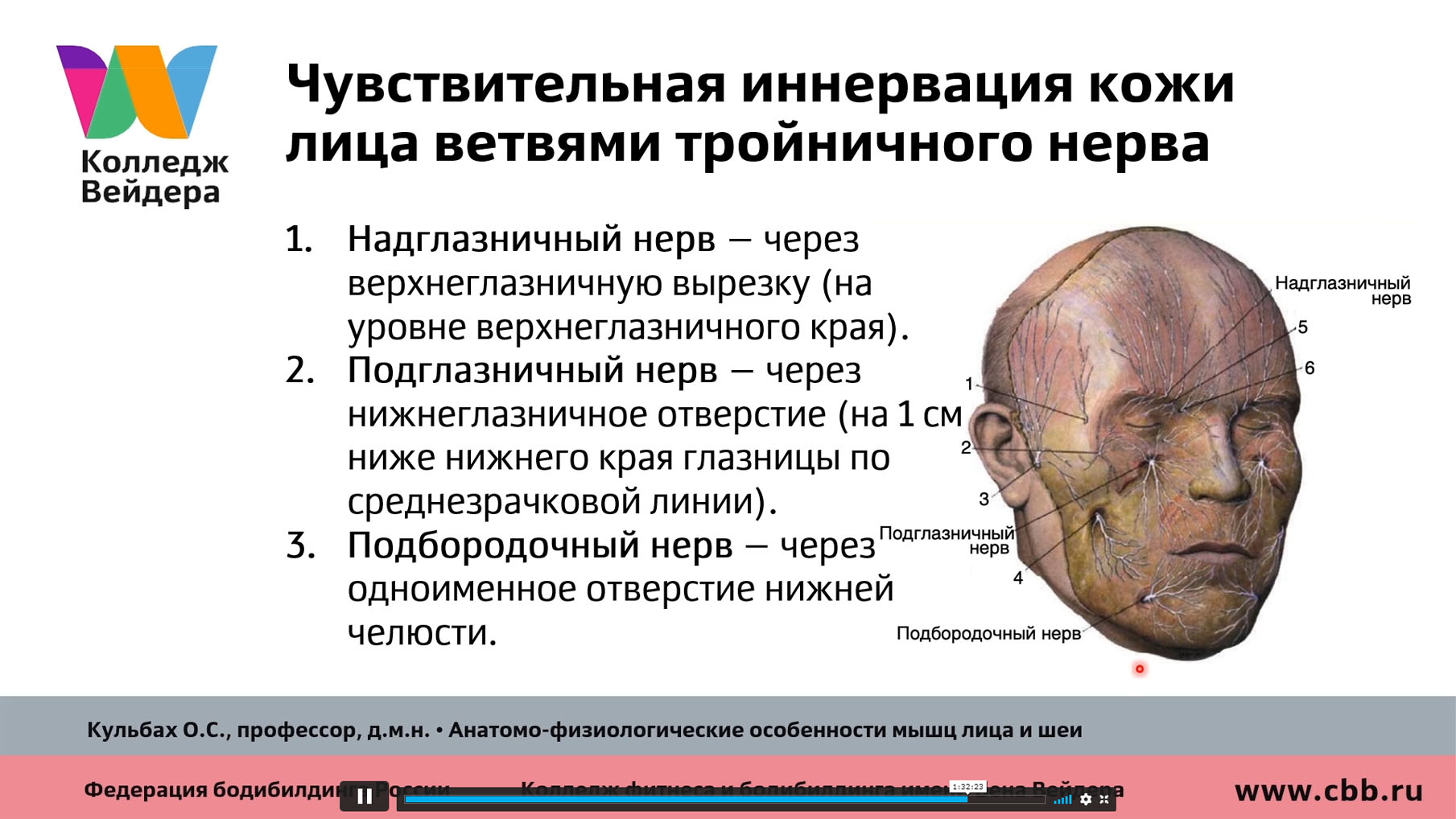 Лицевой нерв чувствительная иннервация. Иннервация лицевого отдела головы. Иннервация кожи. Иннервация тройничного и лицевого нерва. Иннервация кожи головы анатомия.